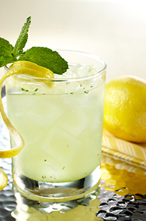 Tulalip Liquor and Smoke Shop – Smirnoff Citrus Twist Vodka – Light Lemon Mojito drink recipe